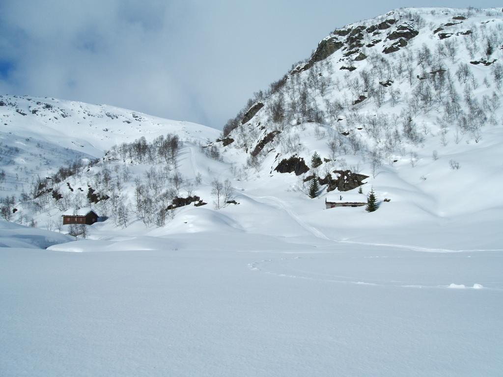 Rongen Gard Villa Bolstadøyri Exterior foto